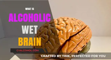 Understanding Alcoholic Wet Brain: Causes, Symptoms, and Treatment Options