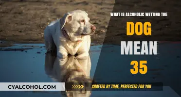Understanding the Slang: What Does 'Alcoholic Wetting the Dog' Mean?