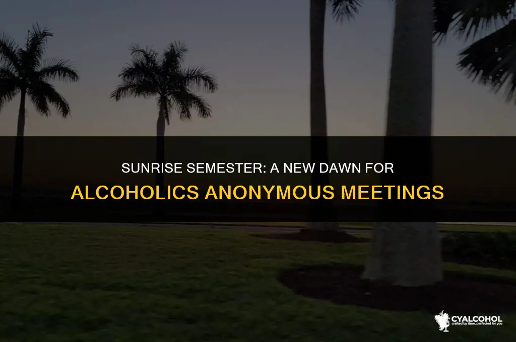 what is alcoholics anonymou sunrise semester