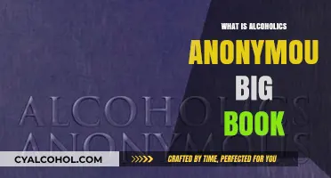 Exploring the Core of Recovery: What is the Alcoholics Anonymous Big Book?