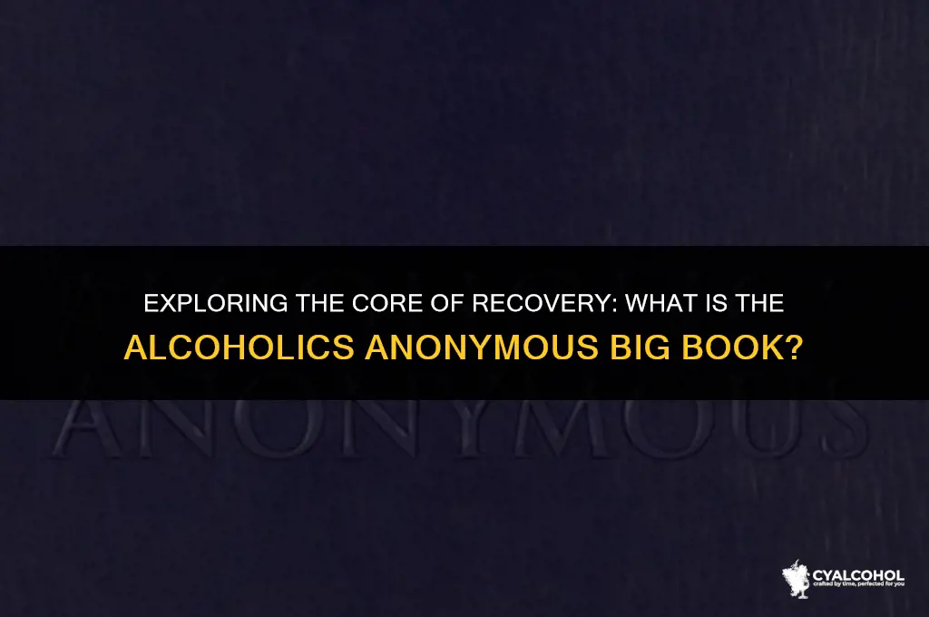 what is alcoholics anonymous big book