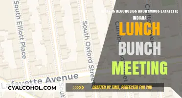 Lafayette Lunch Bunch: A Safe Space for Sobriety