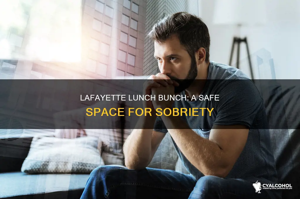 what is alcoholics anonymous lafayette indiana lunch bunch meeting