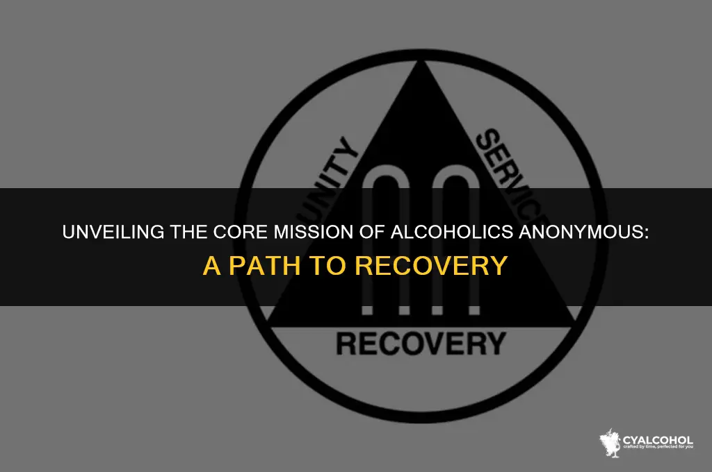 what is alcoholics anonymous primary purpose