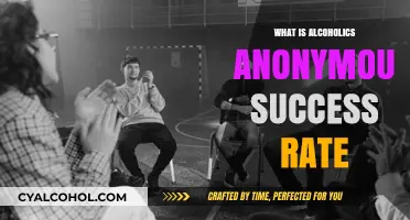 Unveiling the Success Rate of Alcoholics Anonymous: A Comprehensive Look