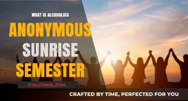 Sunrise Semester: A New Dawn for Alcoholics Anonymous Meetings