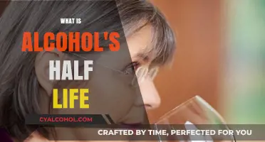 Understanding Alcohol's Half-Life: How Long Does It Stay in Your System?