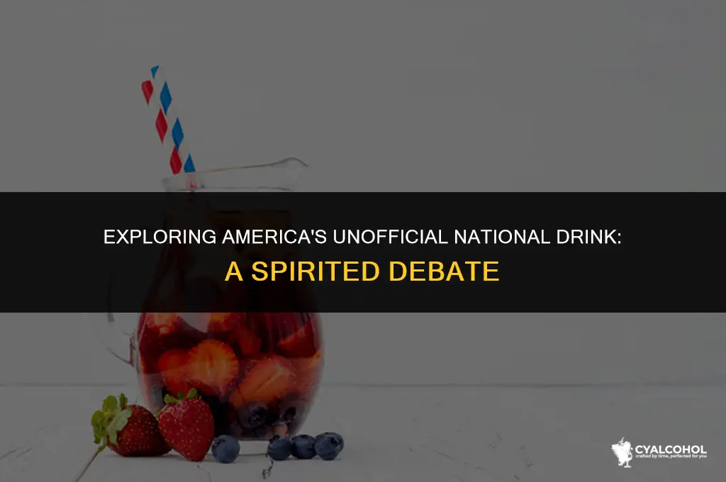 what is america