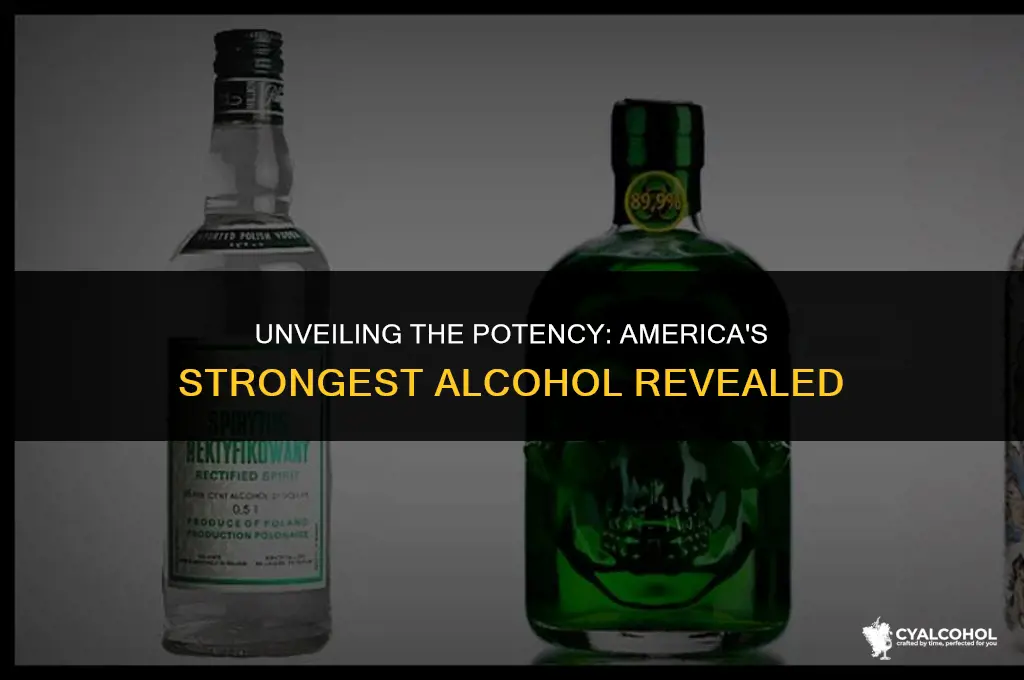 what is america