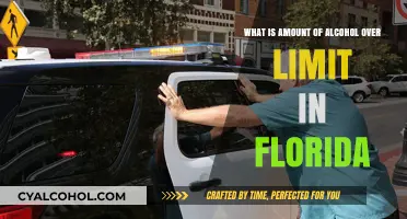 Florida's Over-Limit Alcohol Laws: Understanding the Limits