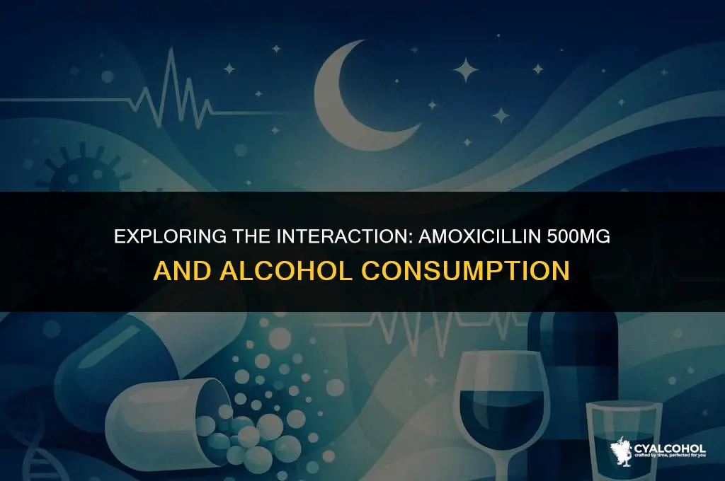 what is amoxicillin 500mg and alcohol