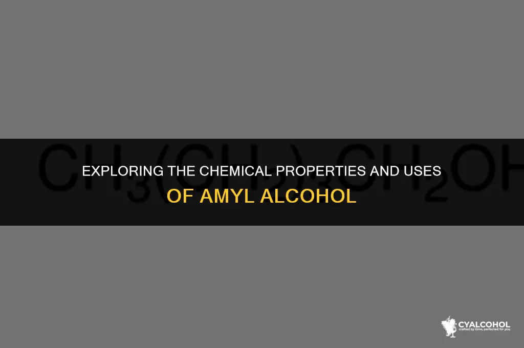 what is amyl alcohol in chemistry