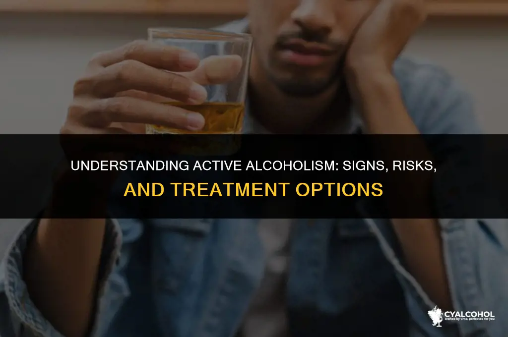 what is an active alcoholic person