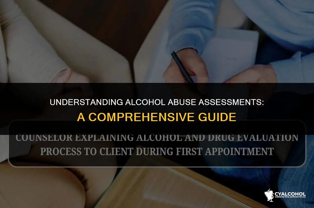 what is an alcohol abuse assessment