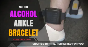 Understanding Alcohol Ankle Bracelets: A Comprehensive Guide