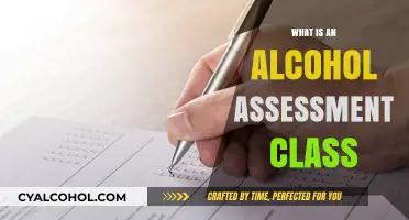 Understanding Alcohol Assessment Classes: A Comprehensive Guide