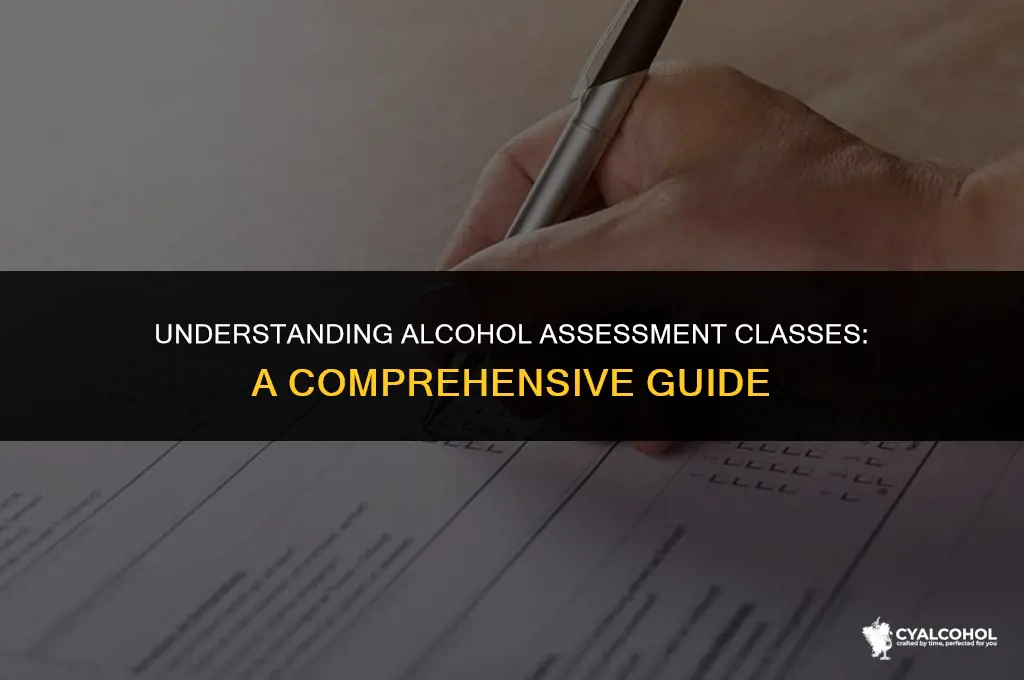 what is an alcohol assessment class