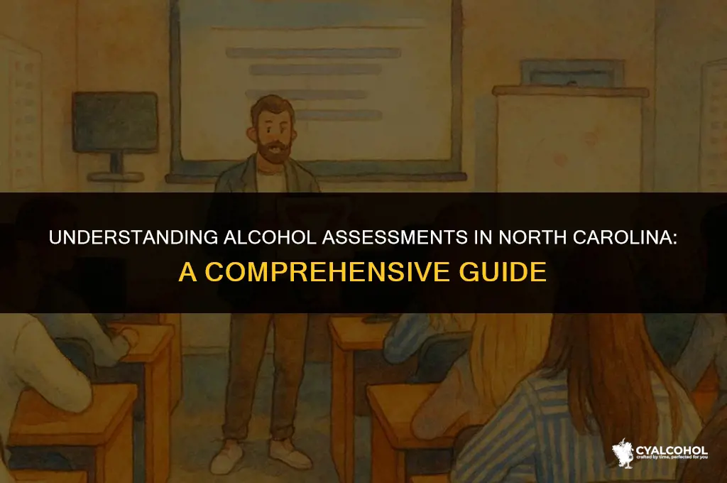 what is an alcohol assessment nc