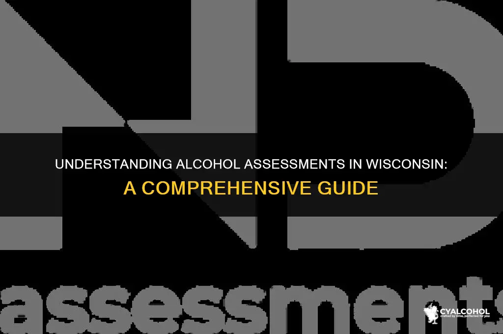 what is an alcohol assessment wisconsin