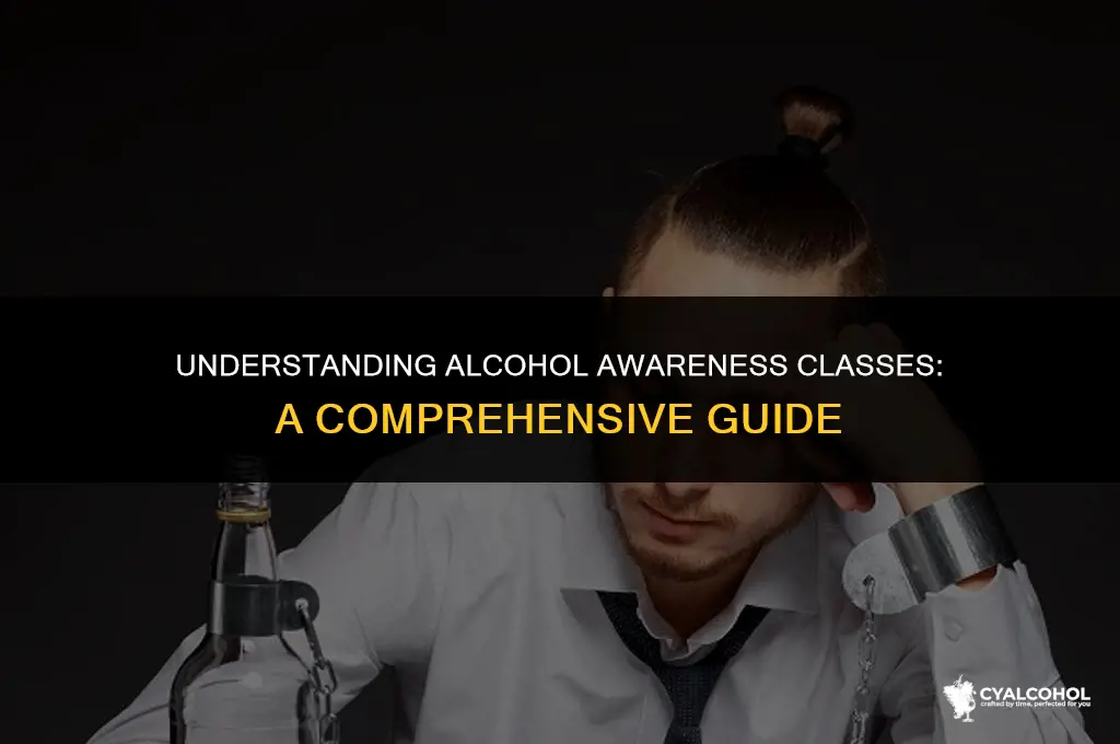 what is an alcohol awareness class
