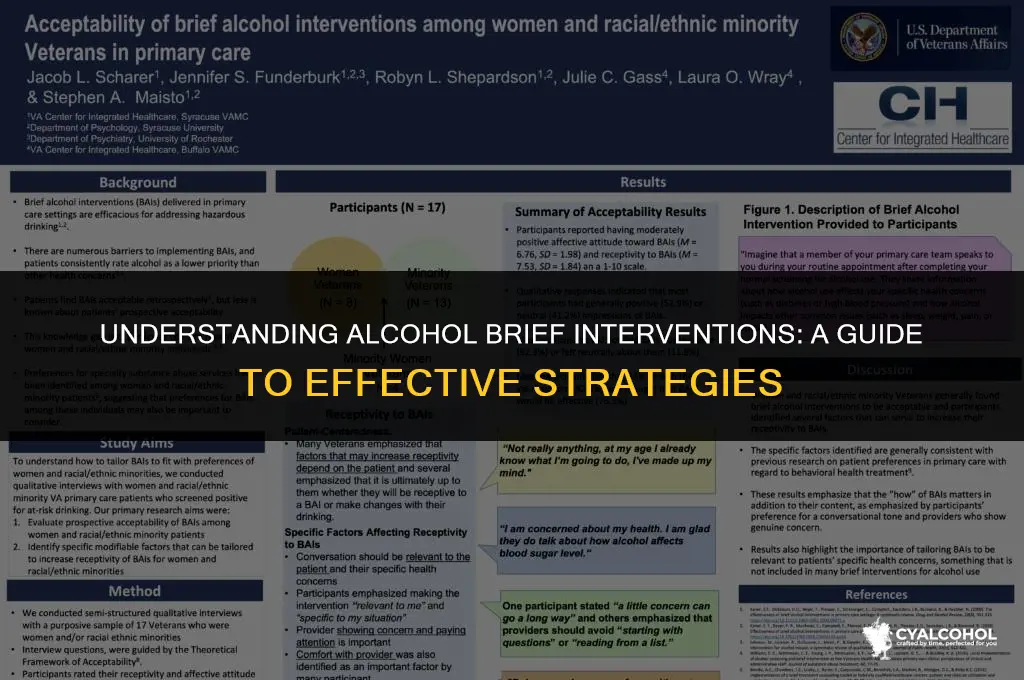 what is an alcohol brief intervention