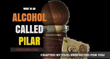 Exploring the Effects and Uses of Alcohol Called Pilar