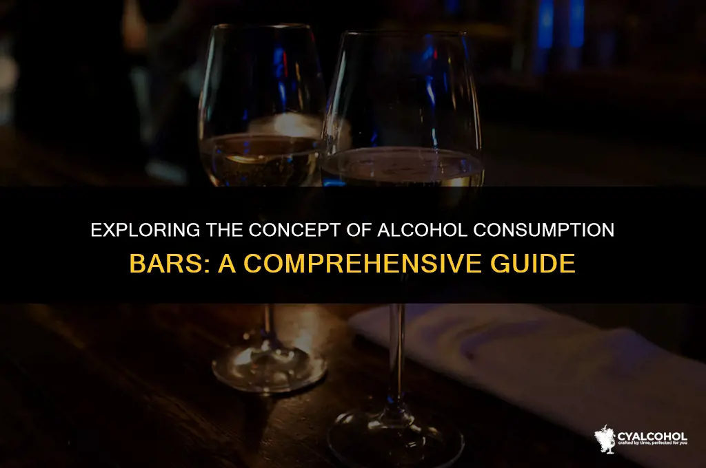 what is an alcohol consumption bar