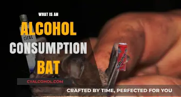 Unveiling the Truth: What Is an Alcohol Consumption Bat?