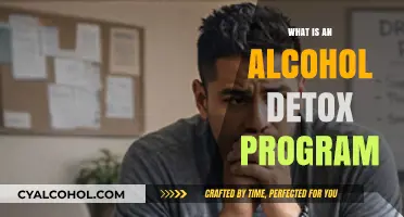 Understanding Alcohol Detox Programs: A Comprehensive Guide