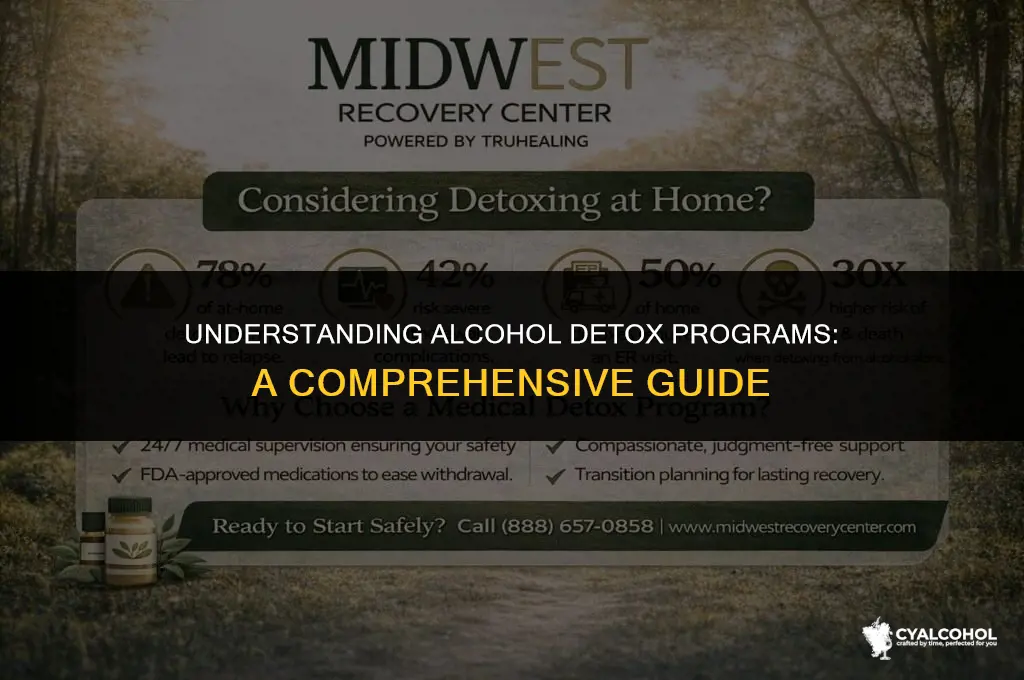 what is an alcohol detox program