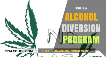Understanding Alcohol Diversion Programs: A Comprehensive Guide