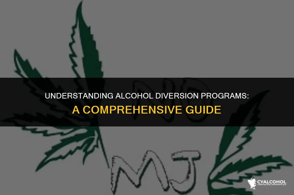 what is an alcohol diversion program