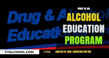 Empowering Choices: Understanding Alcohol Education Programs