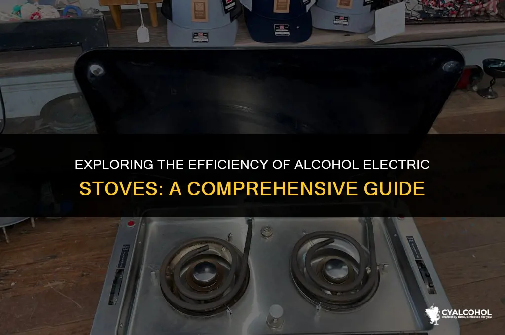 what is an alcohol electric stove