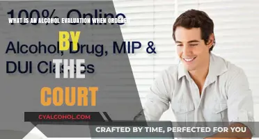 Alcohol Evaluation: Court-Ordered Assessments Explained