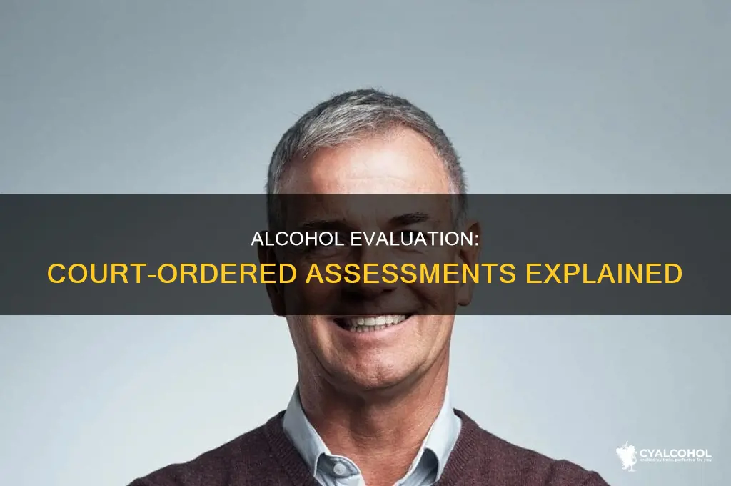 what is an alcohol evaluation when ordered by the court