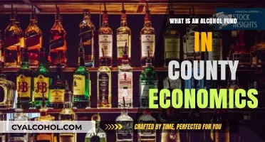 Understanding Alcohol Funds: Impact on County Economics and Local Budgets