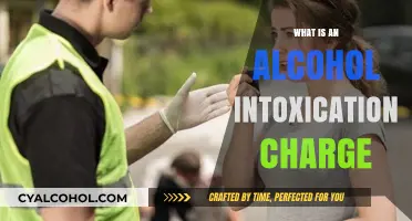 Understanding Alcohol Intoxication Charges: Legal Implications and Consequences