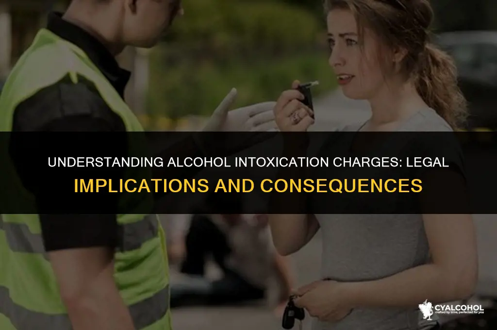 what is an alcohol intoxication charge