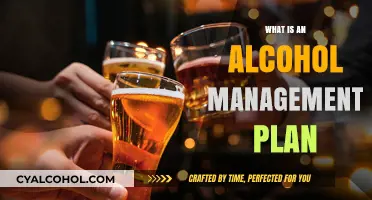Navigating Sobriety: A Comprehensive Guide to Alcohol Management Plans