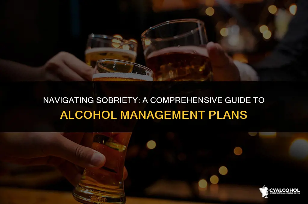 what is an alcohol management plan