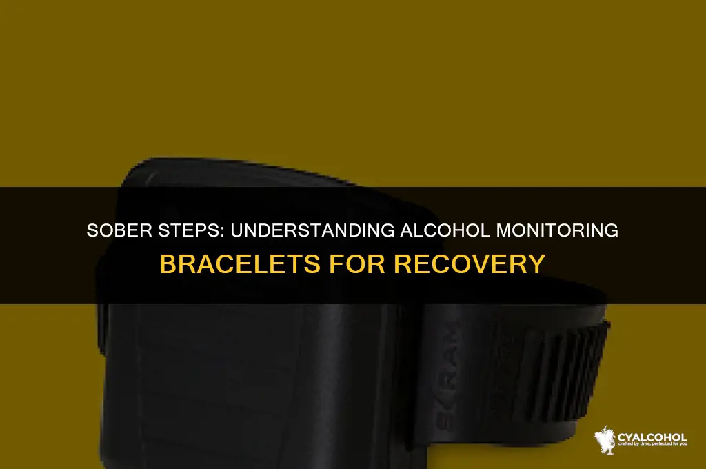 what is an alcohol monitoring bracelet