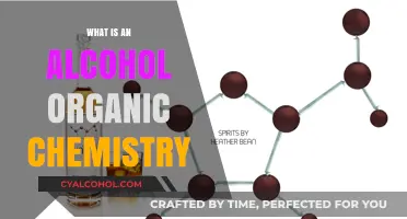 Exploring the Organic Chemistry of Alcohol: Structure and Properties