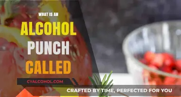 Exploring the World of Alcoholic Punches: A Guide to Popular Recipes
