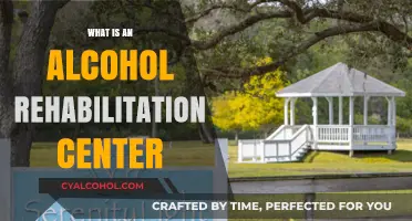 Understanding Alcohol Rehabilitation Centers: A Guide to Recovery