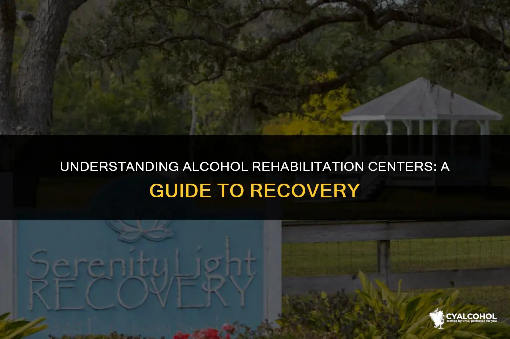 what is an alcohol rehabilitation center