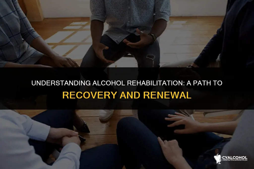 what is an alcohol rehabilitation program