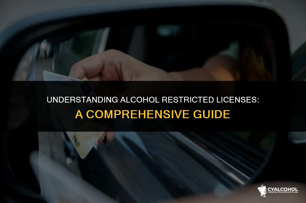 what is an alcohol restricted license