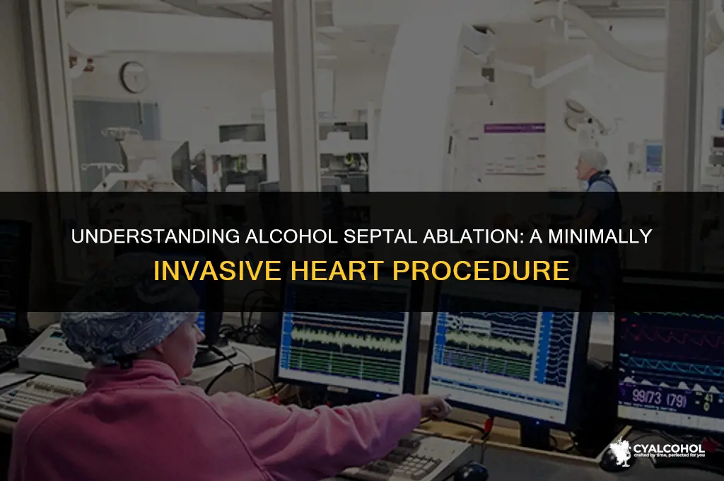 what is an alcohol septal ablation
