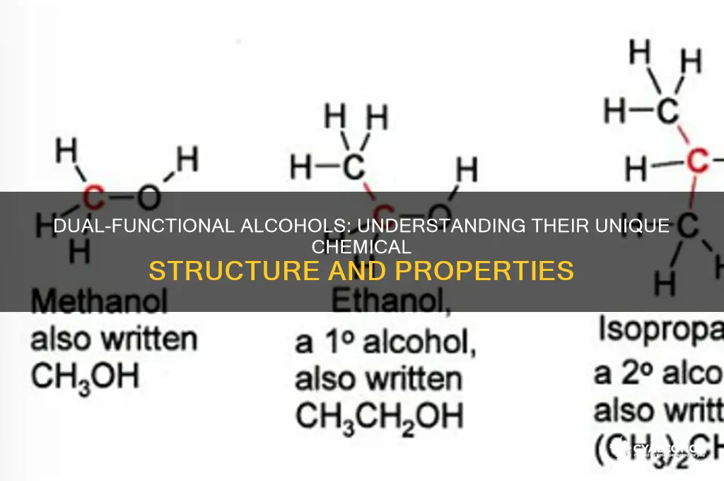 what is an alcohol with two funxtional groups